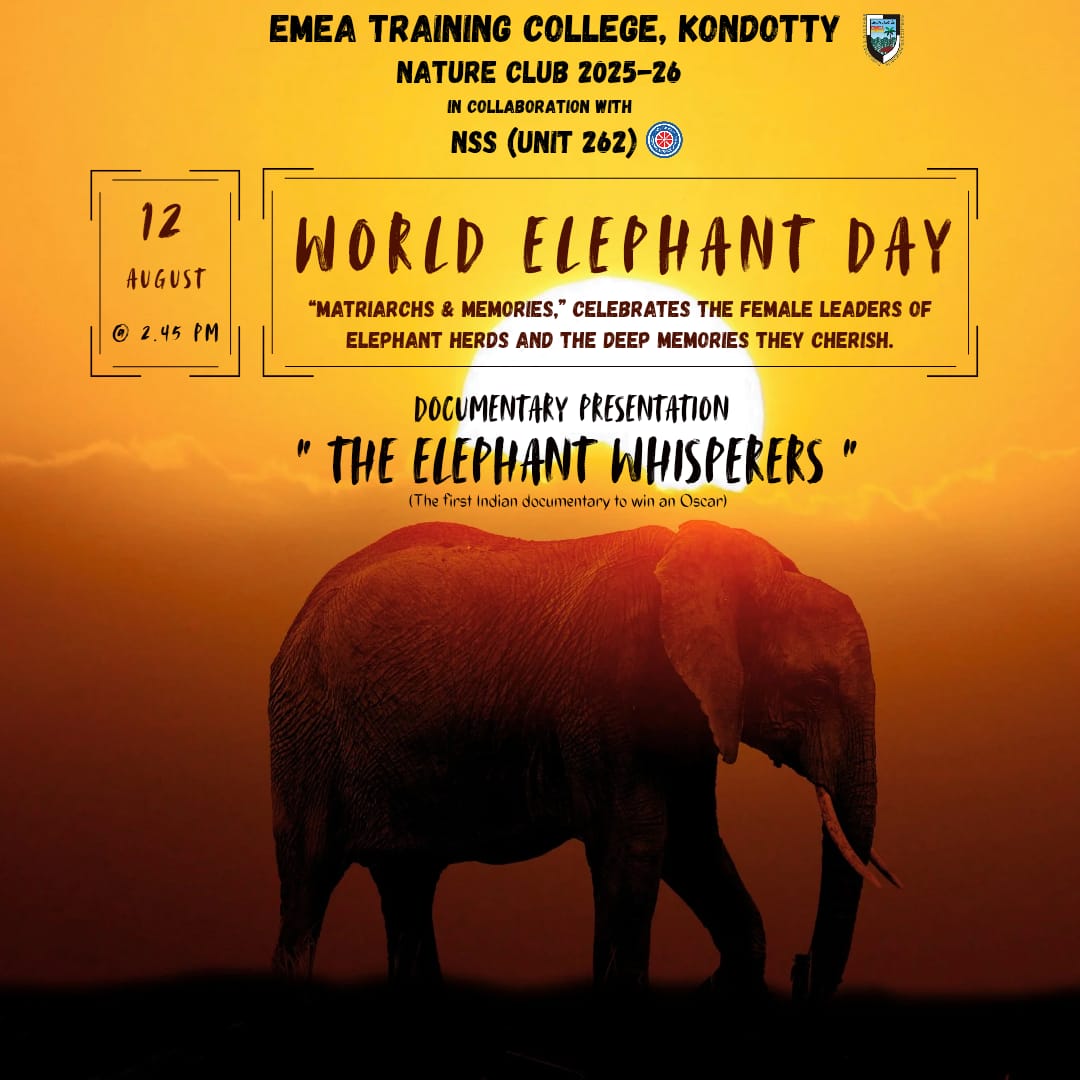 The Elephant Whisperers - Documentary Presentation
